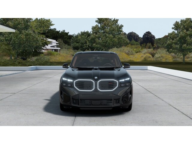 2022 Bmw X5 xDrive40i photo 2