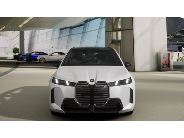 2026 Bmw iX photo 3