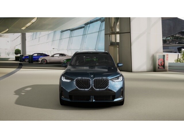 2025 Bmw X3 30x Drive photo 3