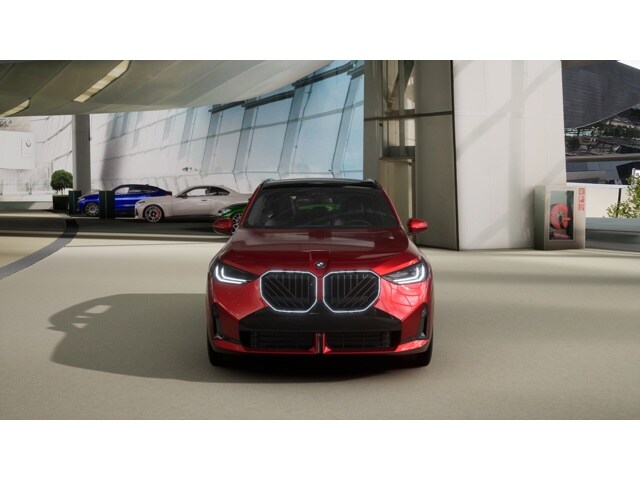 2025 Bmw X3 30x Drive photo 3