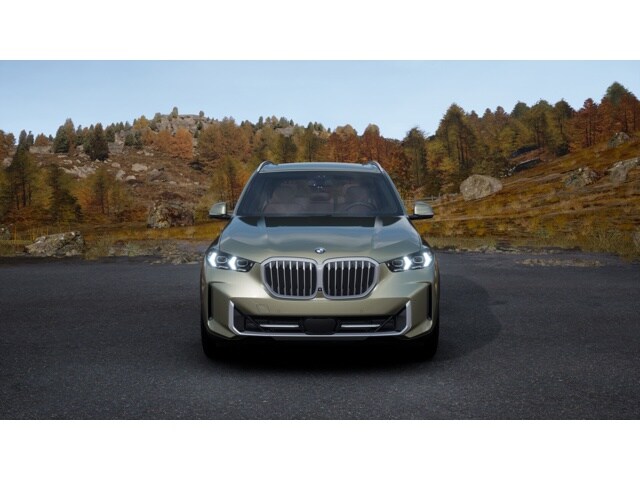2026 Bmw X5 xDrive50e photo 2