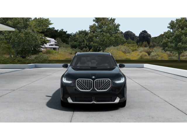 2025 Bmw X3 30x Drive photo 3