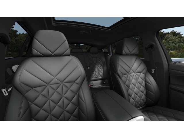 2026 Bmw X6 xDrive40i photo 11