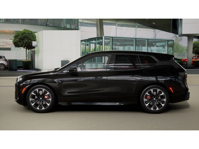 2026 Bmw iX photo 4
