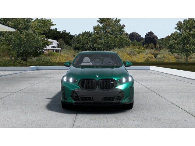 2026 Bmw X6 photo 4