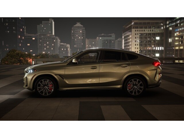 2026 Bmw X6 xDrive40i photo 4