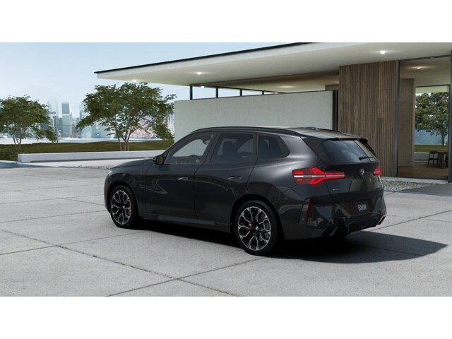 2025 Bmw X3 30x Drive photo 2
