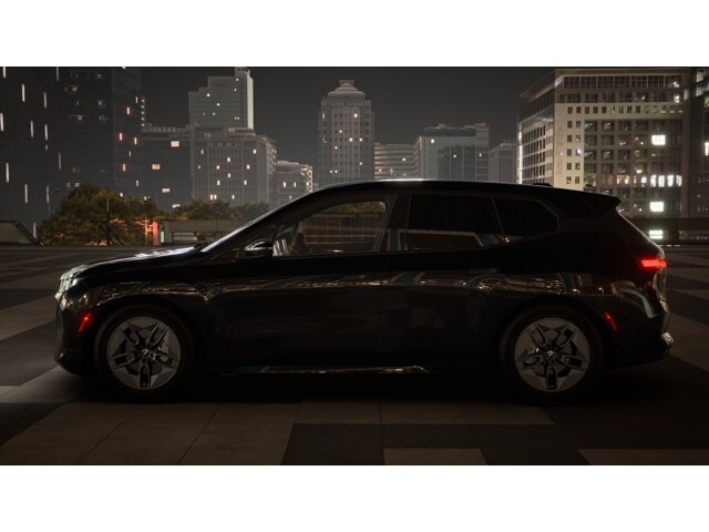 2026 Bmw iX photo 4