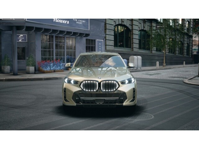 2026 Bmw X6 xDrive40i photo 2