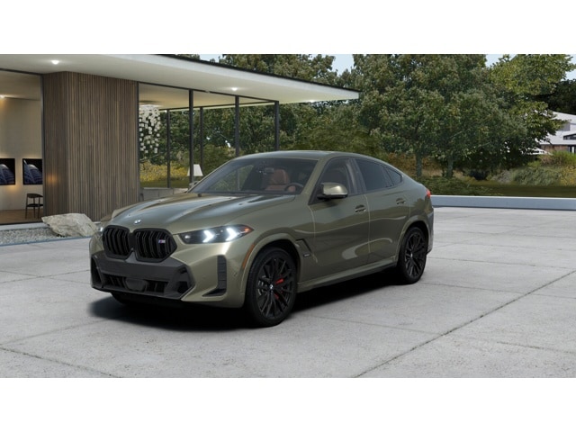 2026 BMW X6 M60i's photo