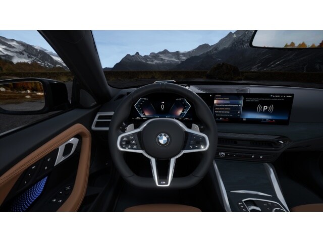 2025 Bmw 230i Coupe photo 12