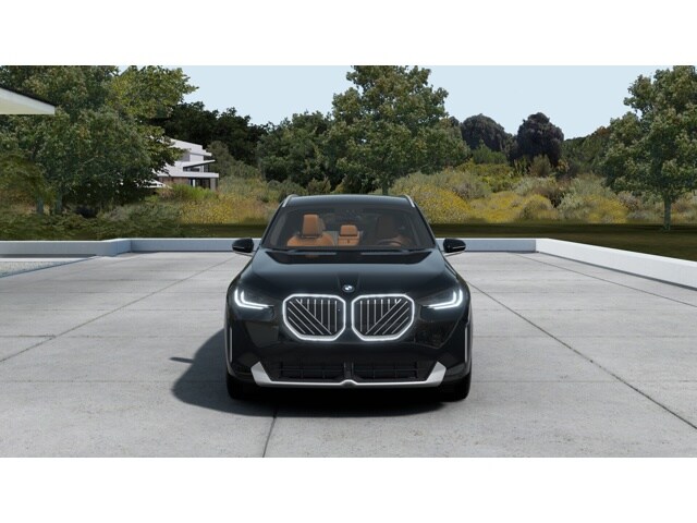 2025 Bmw X3 30x Drive photo 3