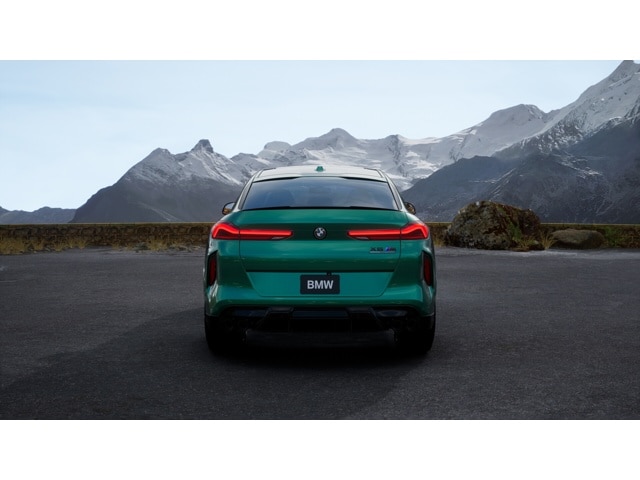 2026 BMW X6 M X6 M - Photo 41