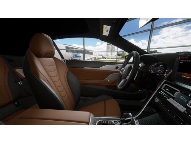 2026 BMW 8 Series M850i - Photo 9