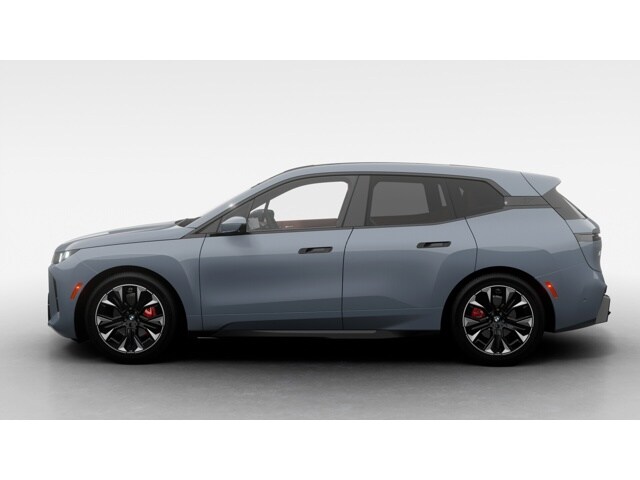 2026 Bmw iX photo 4