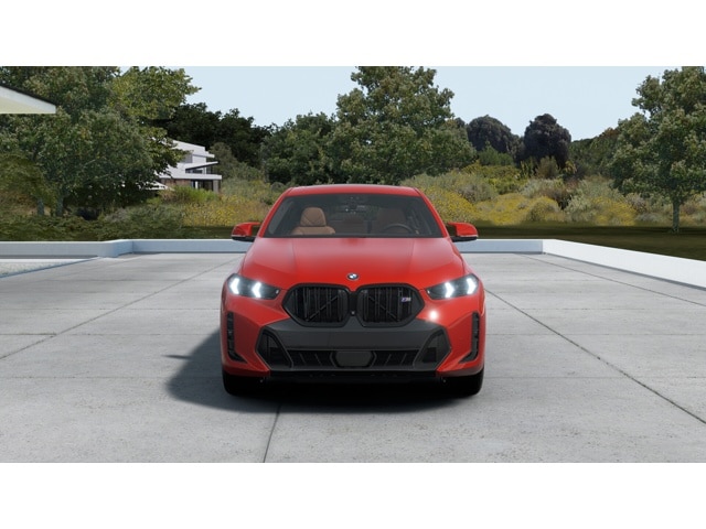 2026 BMW X6 M60i - Photo 32
