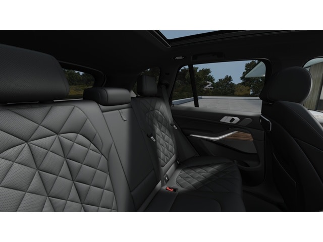 2026 BMW X5 50e - Photo 54