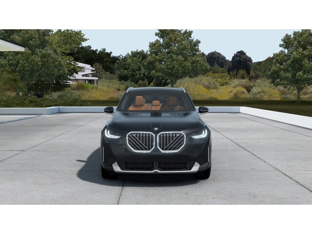 2025 Bmw X3 30x Drive photo 3
