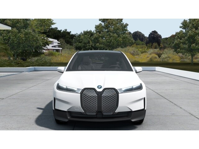 2025 Bmw iX photo 3