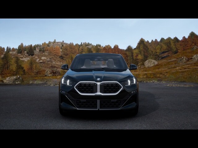 2025 Bmw X2 xDrive28i photo 2