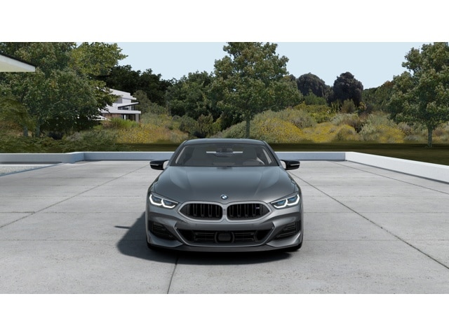 2026 BMW 8 Series M850i - Photo 44