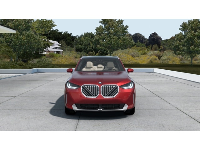 2025 Bmw X3 30x Drive photo 3
