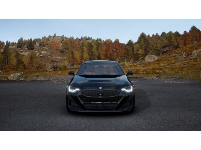 2025 Bmw 230i Coupe photo 3