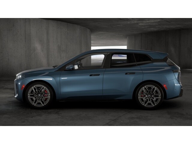 2026 Bmw iX photo 4