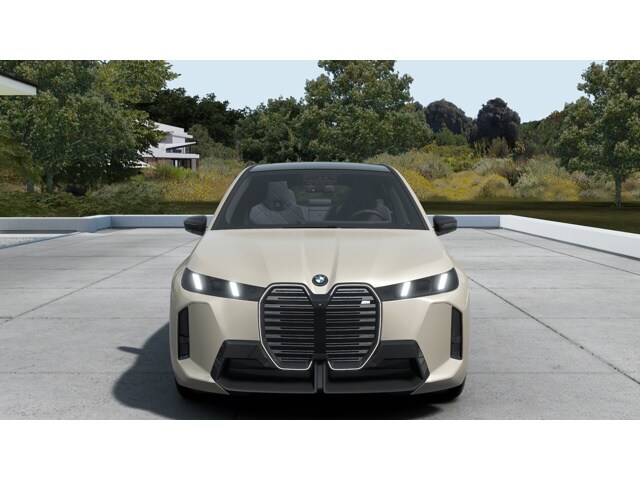 2026 Bmw iX photo 3