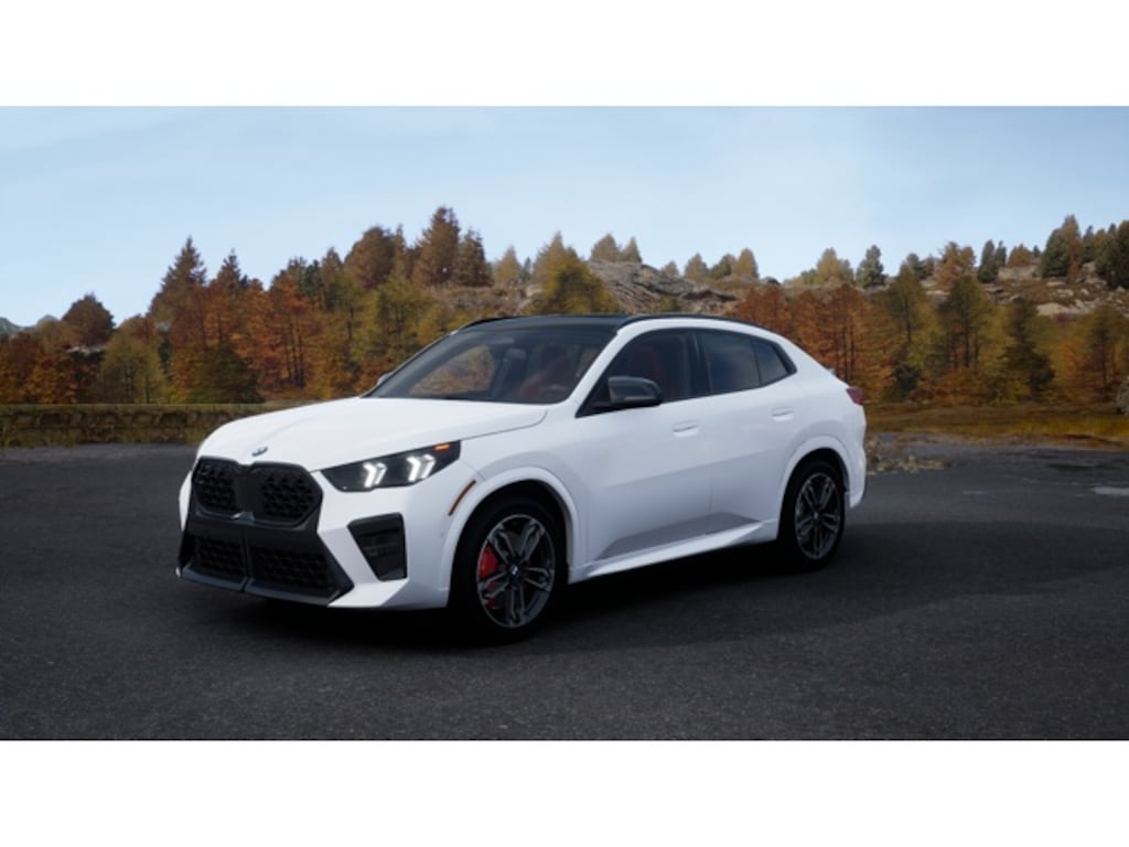 Used 2025 BMW X2 xDrive28i SUV