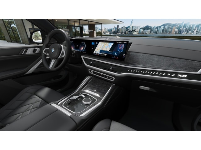 2025 Bmw X6 xDrive40i photo 4