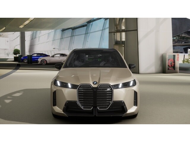 2026 Bmw iX photo 4