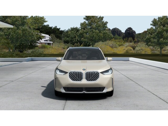 2025 Bmw X3 30x Drive photo 7
