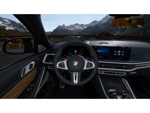 2026 BMW X6 M X6 M - Photo 49