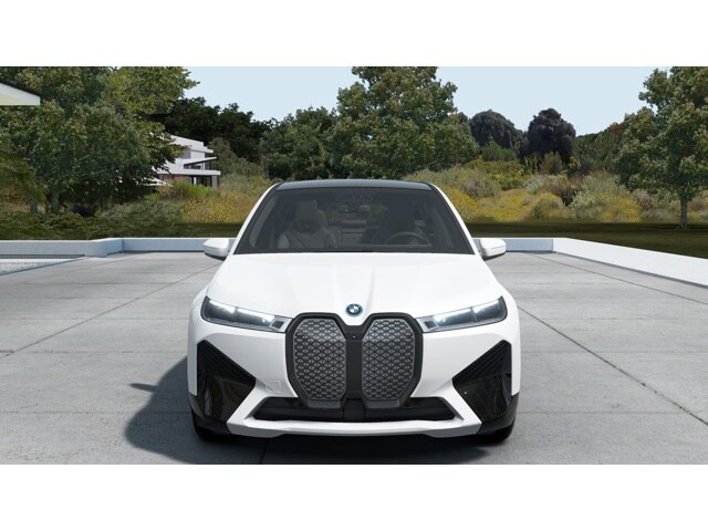 2025 Bmw iX photo 3