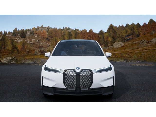 2025 Bmw iX photo 3