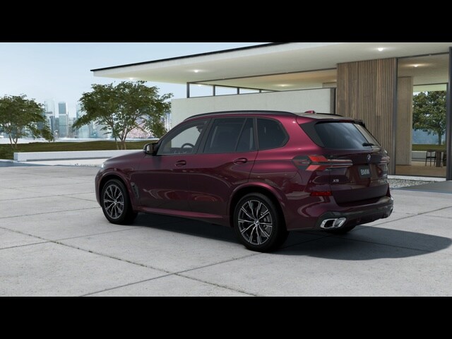 2025 Bmw X5 M60i photo 3