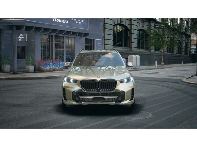 2026 Bmw X5 xDrive50e photo 2