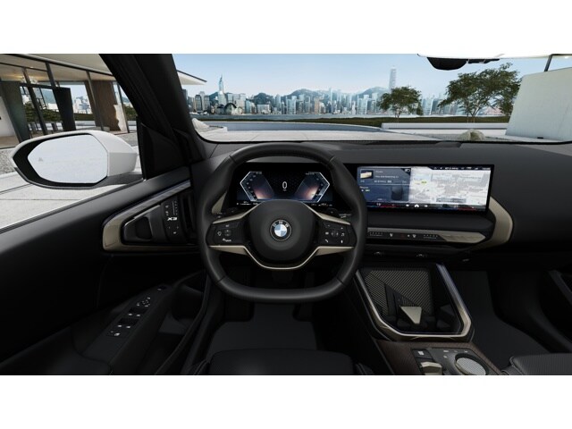 2025 BMW X3 30 - Photo 42
