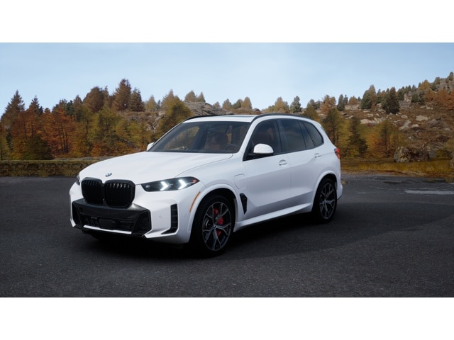 2026 BMW X5 50e's photo