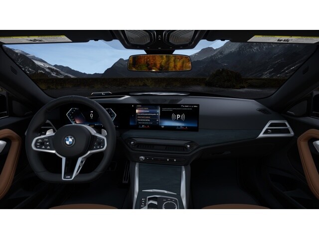 2025 Bmw 230i Coupe photo 9