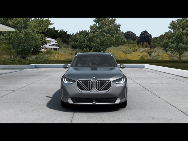 2025 Bmw X3 30x Drive photo 2