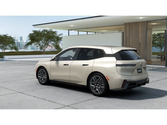 2026 Bmw iX photo 2