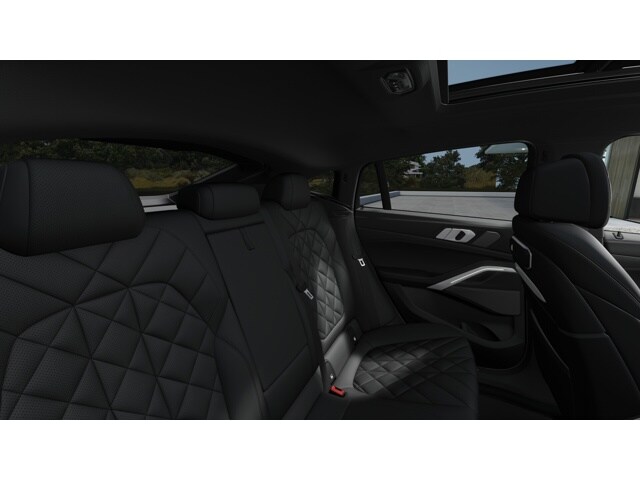 2026 Bmw X6 xDrive40i photo 12