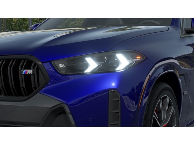 2025 BMW X6 M60i - Photo 30