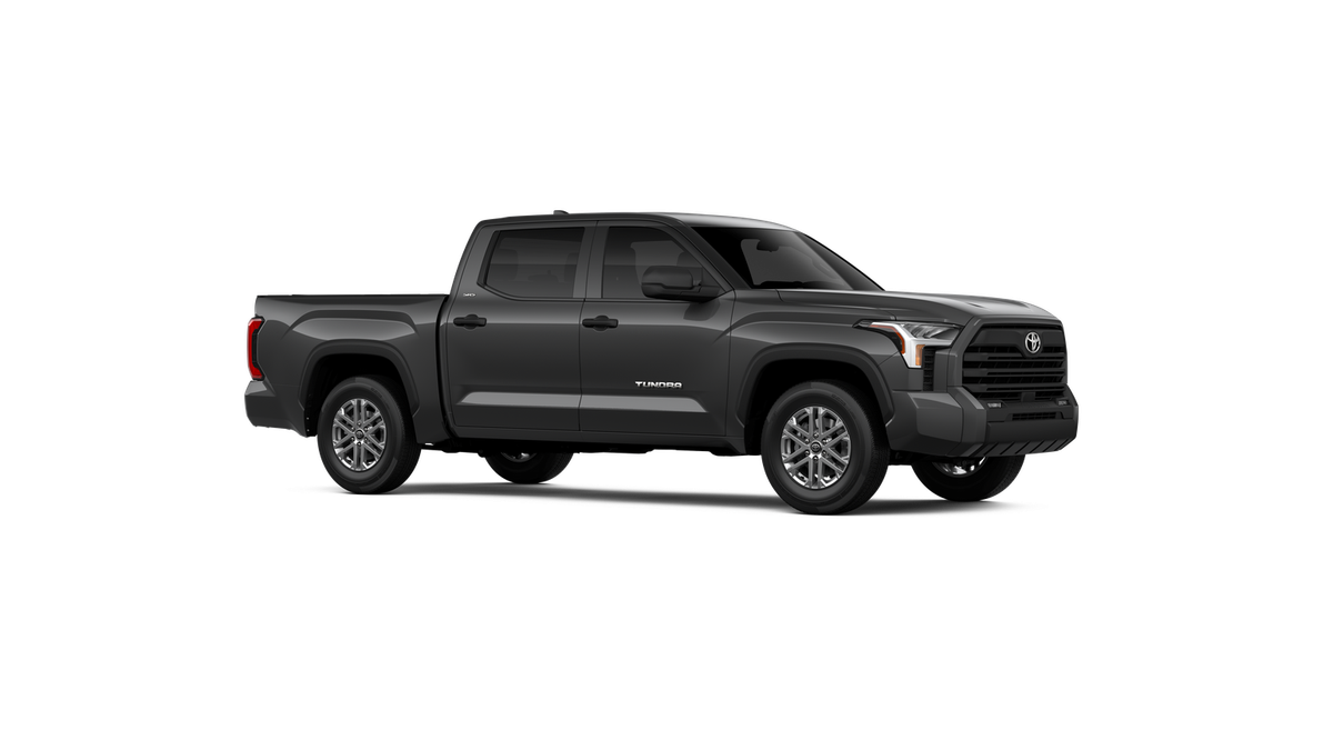 2025 Toyota Tundra SR5 - Photo 48