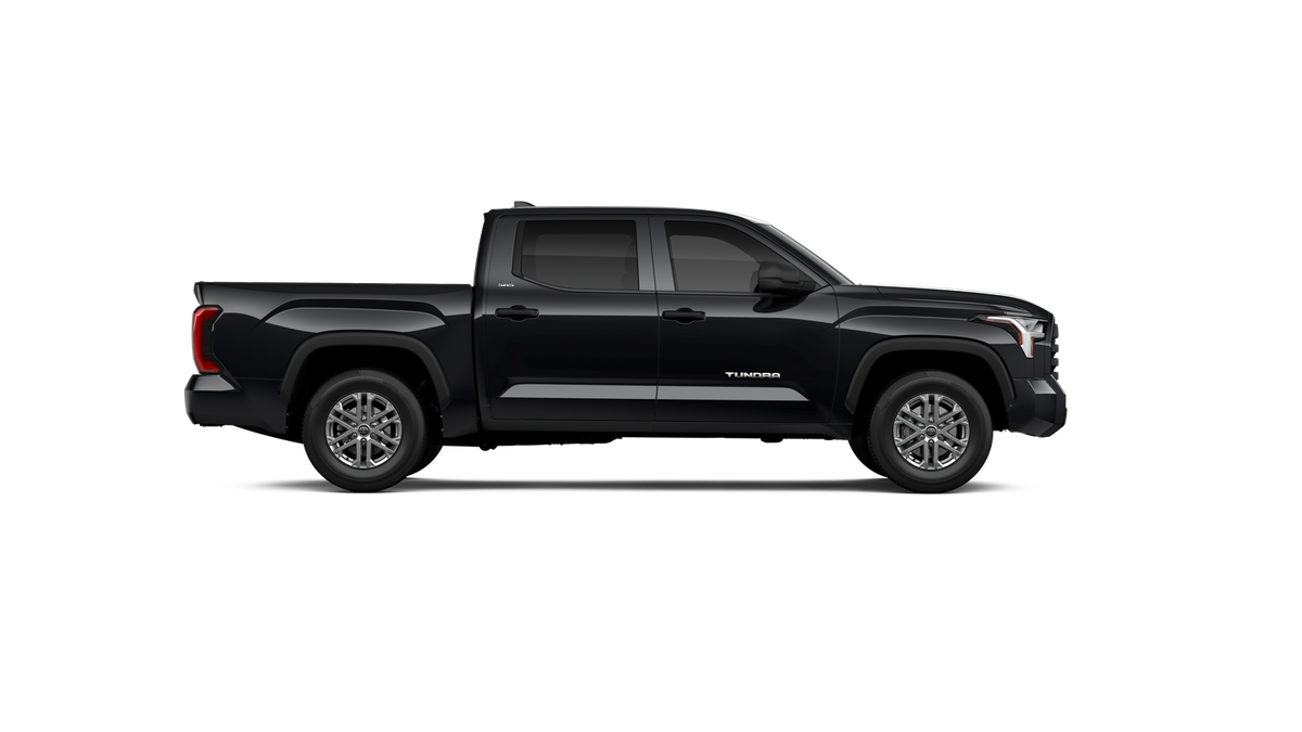 2025 Toyota Tundra SR5 - Photo 45