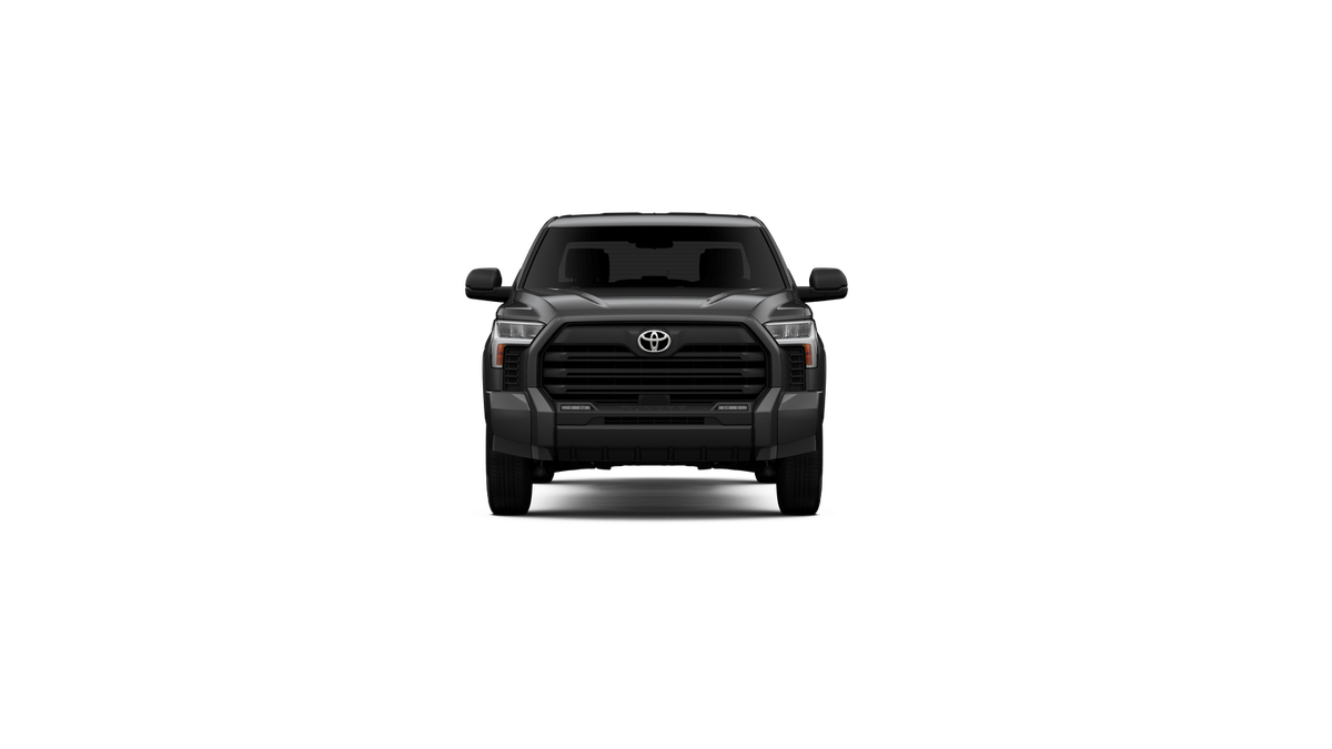 2025 Toyota Tundra SR5 - Photo 51