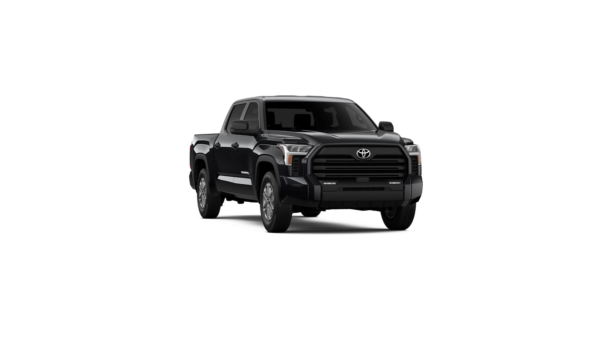 2025 Toyota Tundra SR5 - Photo 49