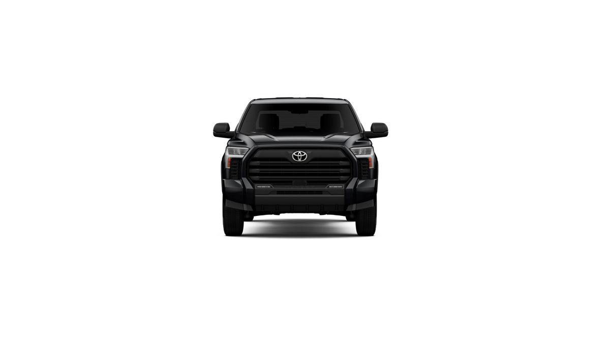 2025 Toyota Tundra SR5 - Photo 50